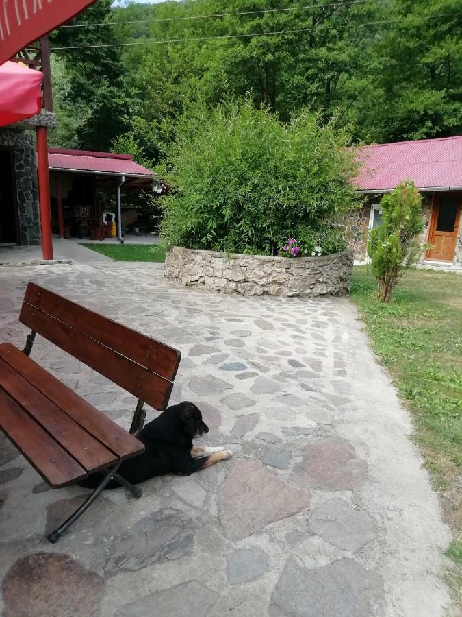 Pensiunea La Busu -Bigar Bozovici 외부 사진